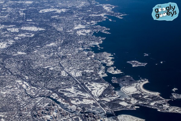 New York Covered in Snow February 2015